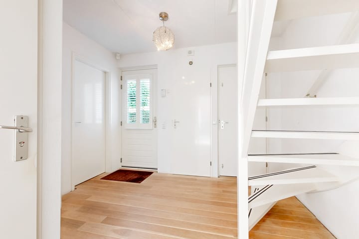 Foto 4 van Harlekijneend 3