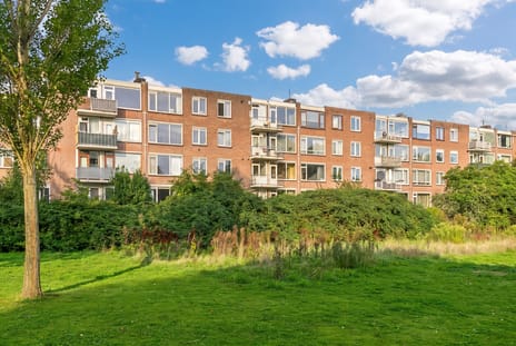 van Slingelandtstraat thumbnail