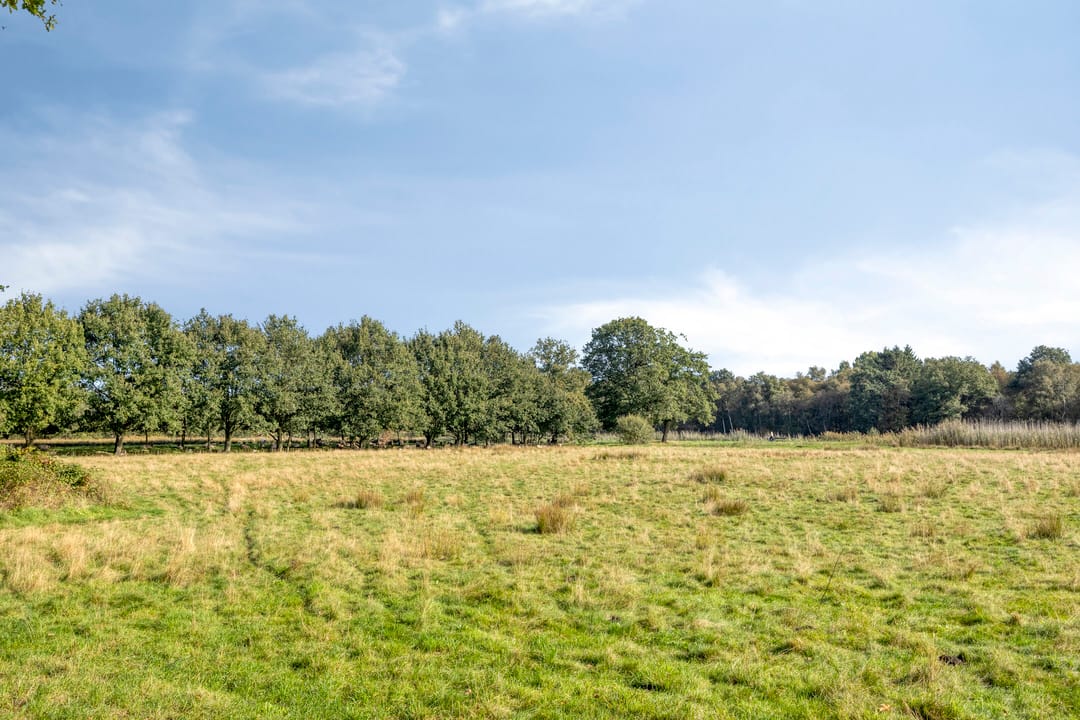 Photo 31 of Zandhamel 8