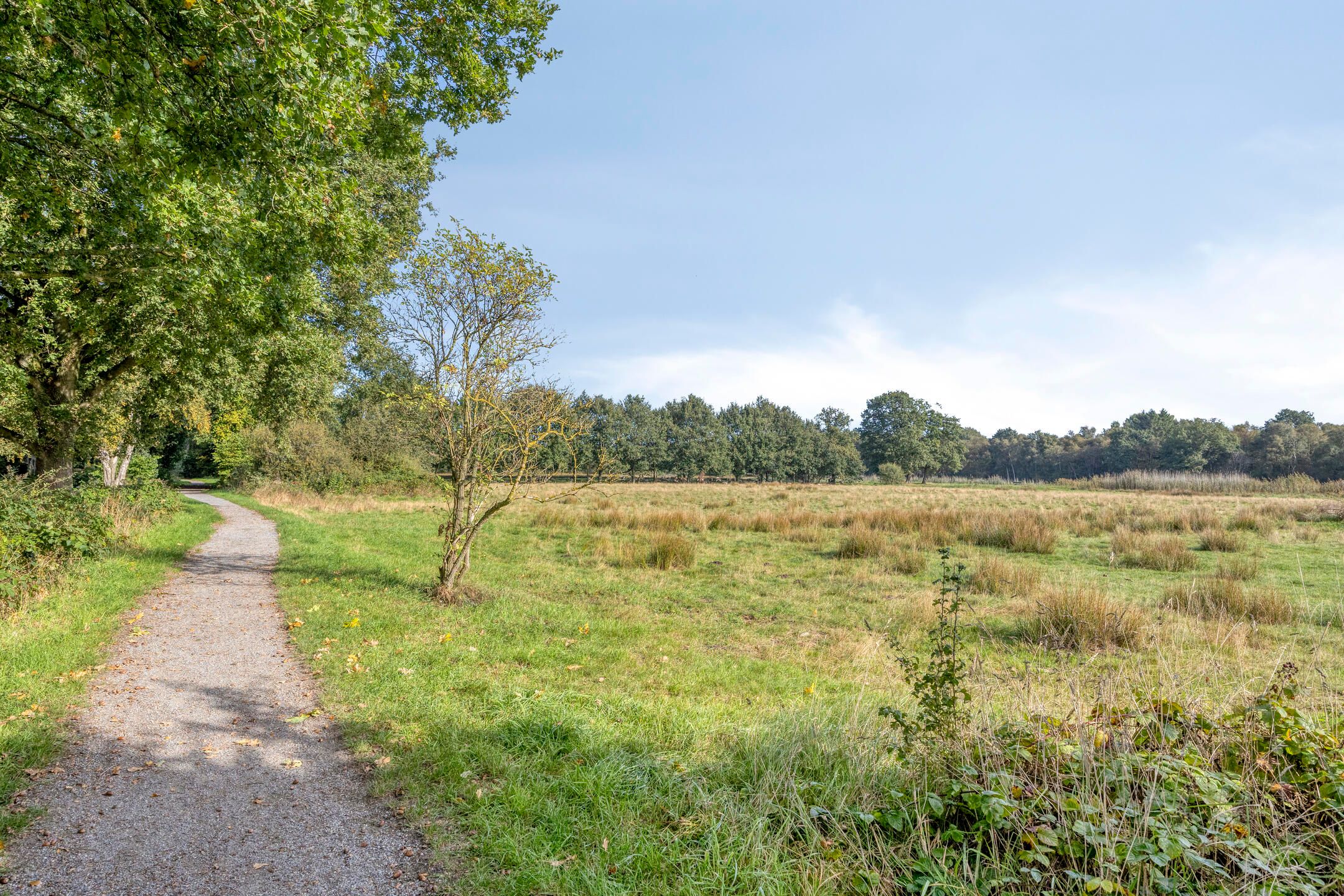 Photo 30 of Zandhamel 8