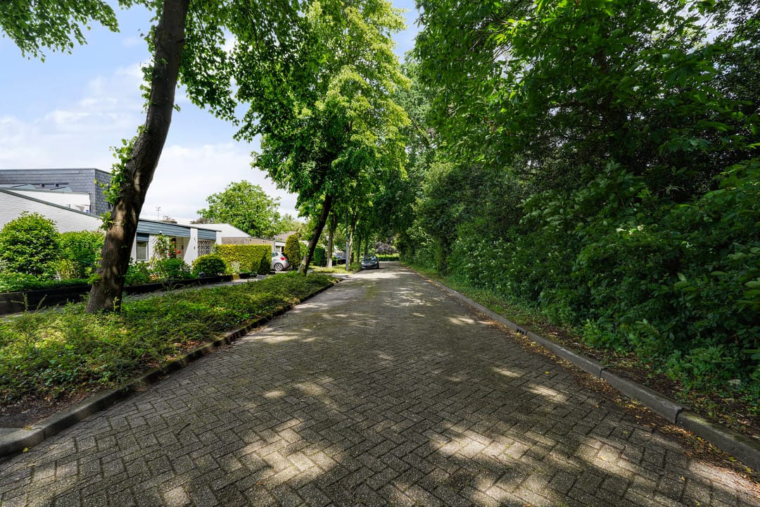Photo 41 of Frans Halsstraat 6