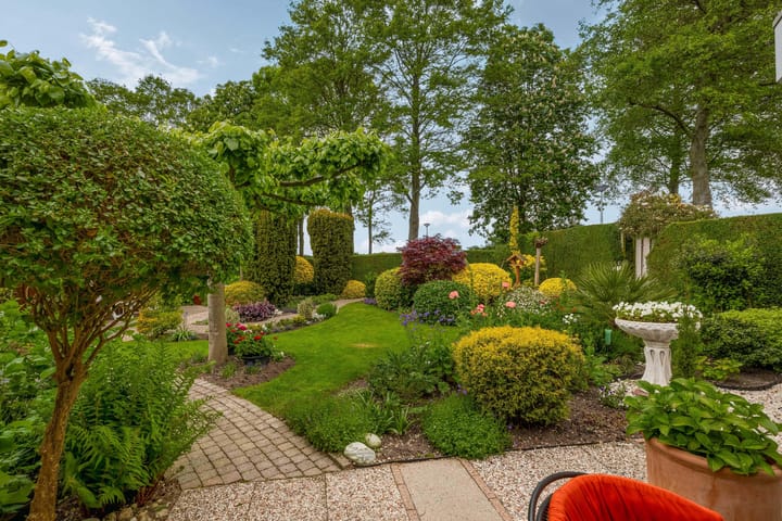 Foto 3 van de Grutto 25