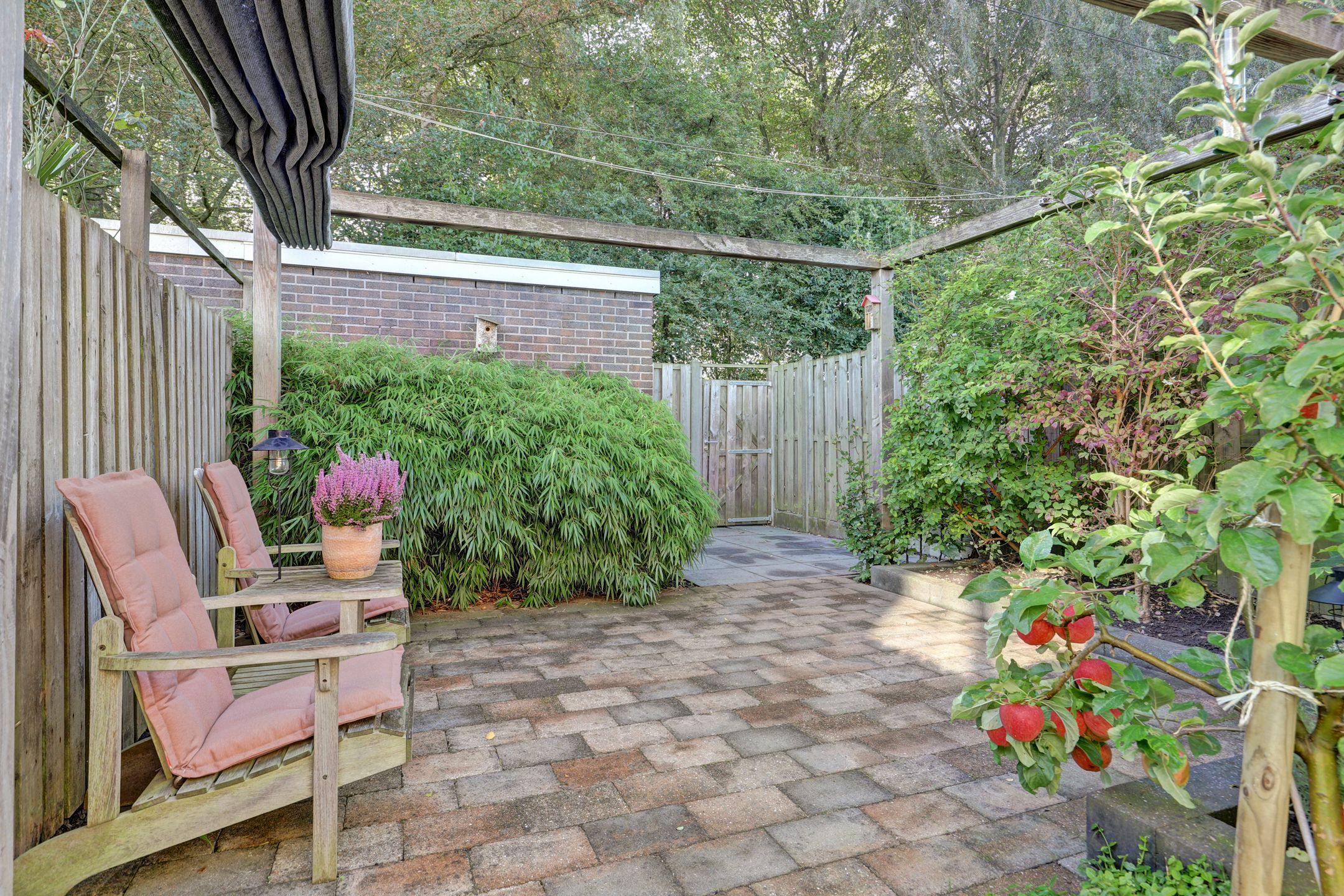 Photo 33 of Middelplaat 38