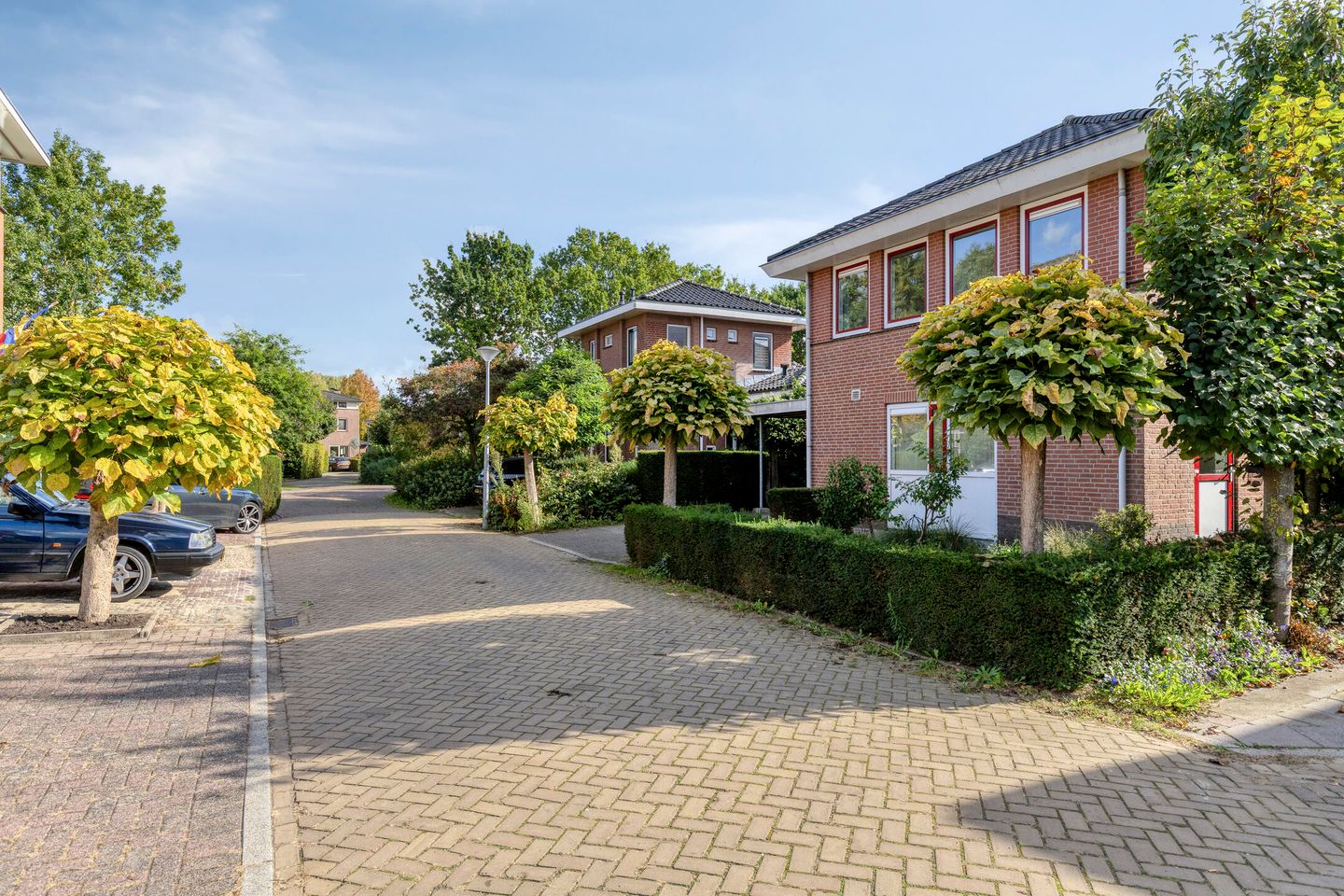Foto 44 van Roodwilligen 87
