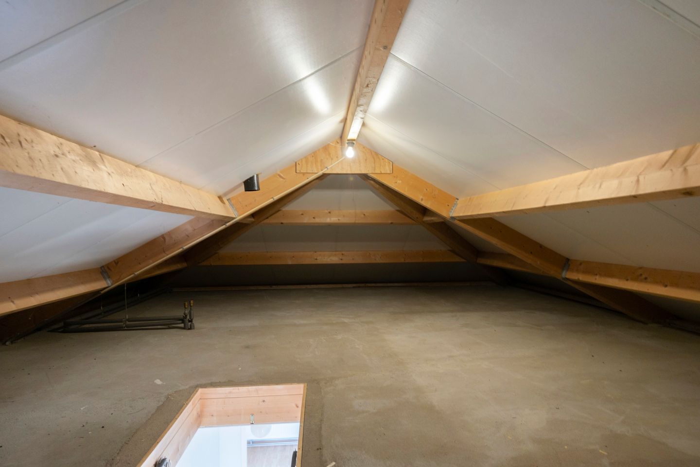 Foto 40 van Roodwilligen 87