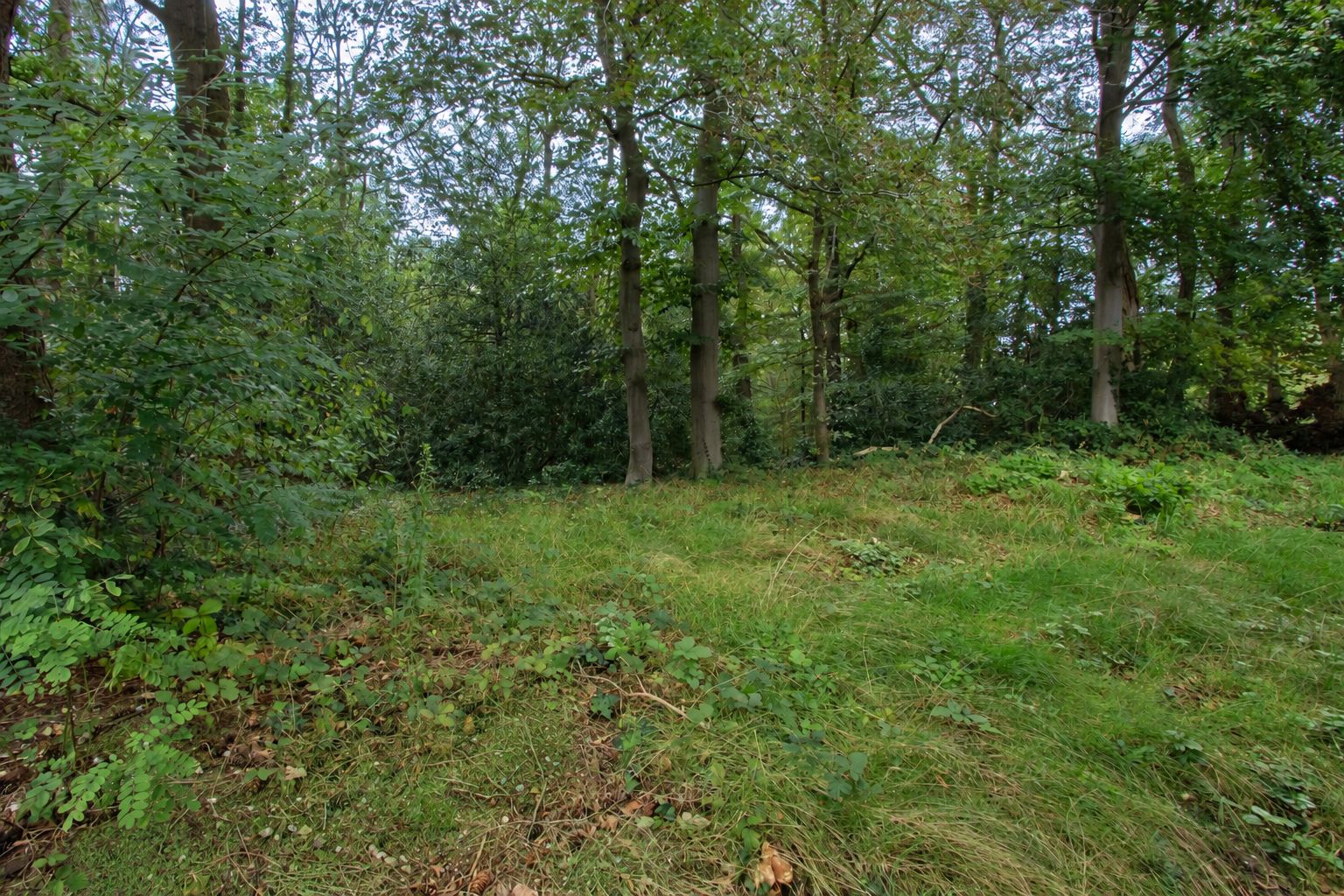 Foto 15 van Beresteinseweg 4-A