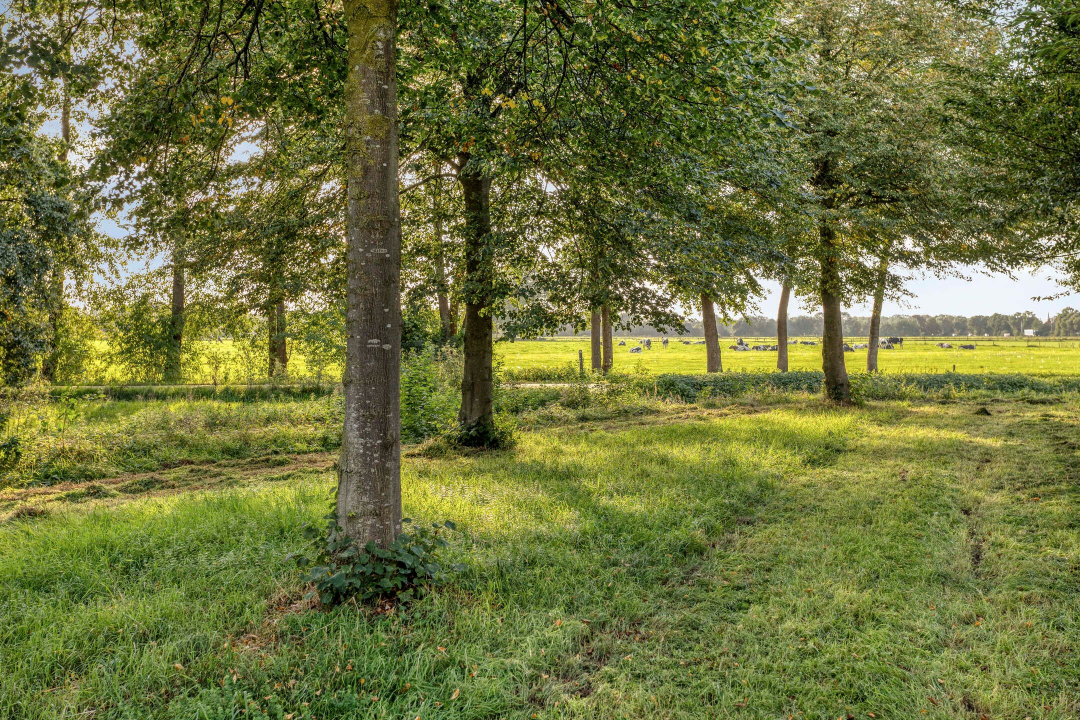 Foto 42 van Het Veen 15
