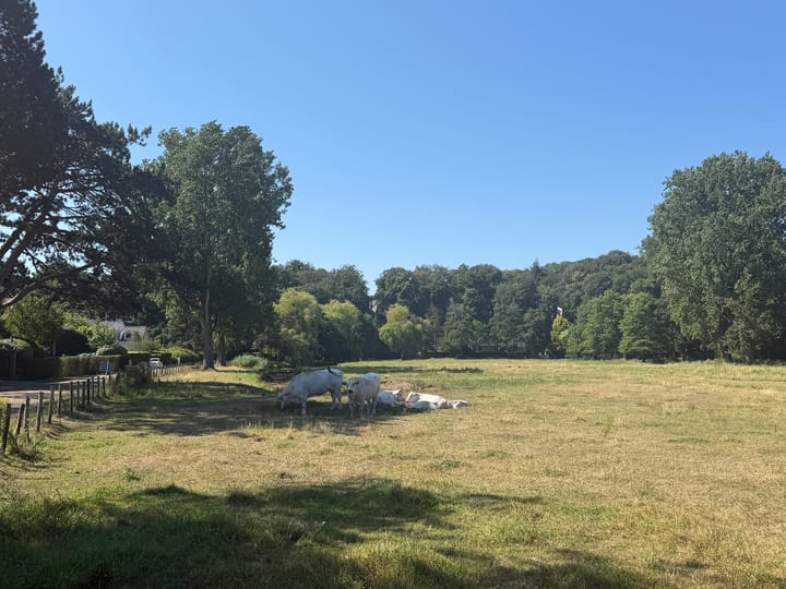 Vrijstaande woning te huur: Lage Duin en Daalseweg 31, Bloemendaal