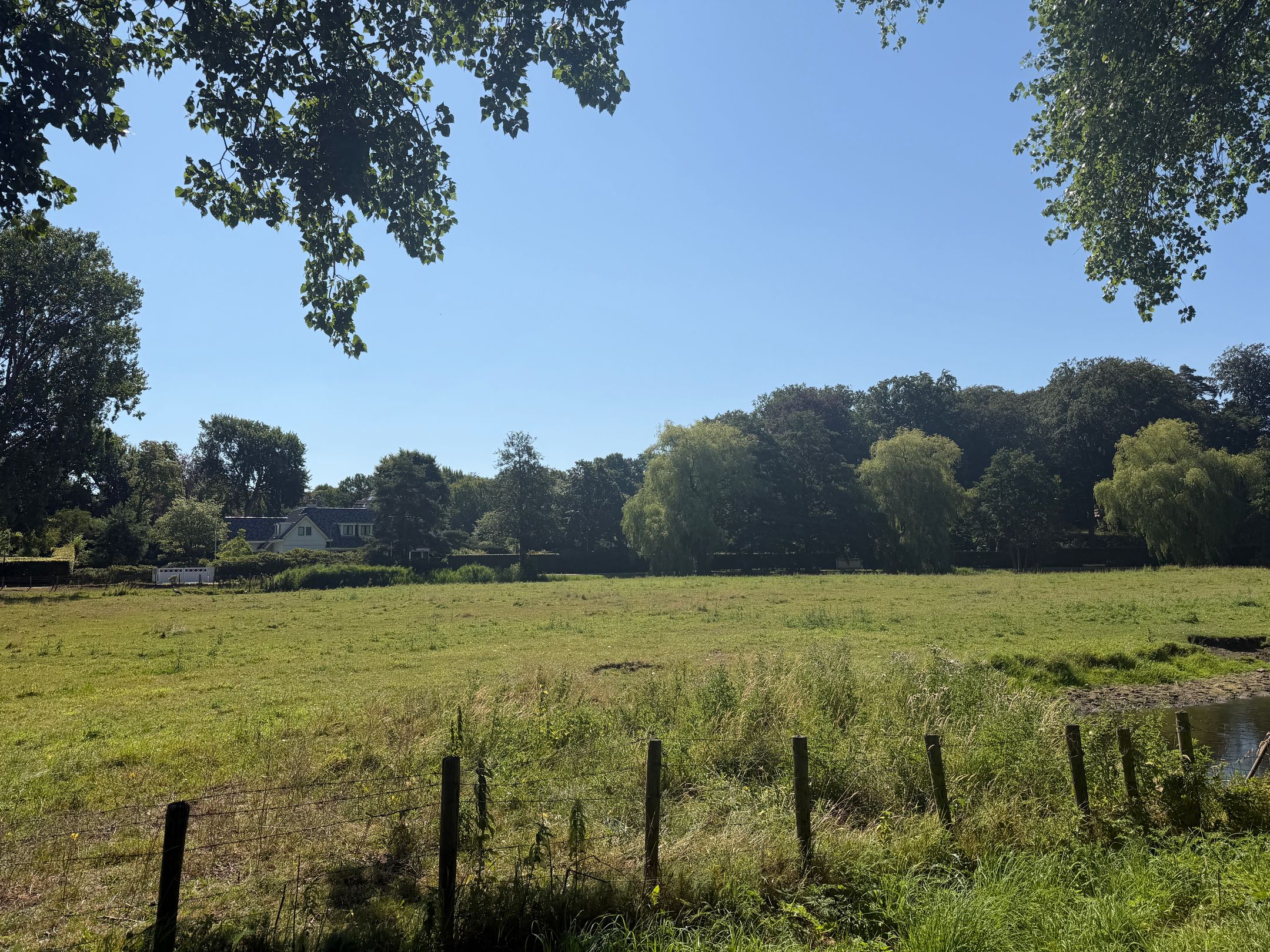 Foto 18 van Lage Duin en Daalseweg 31