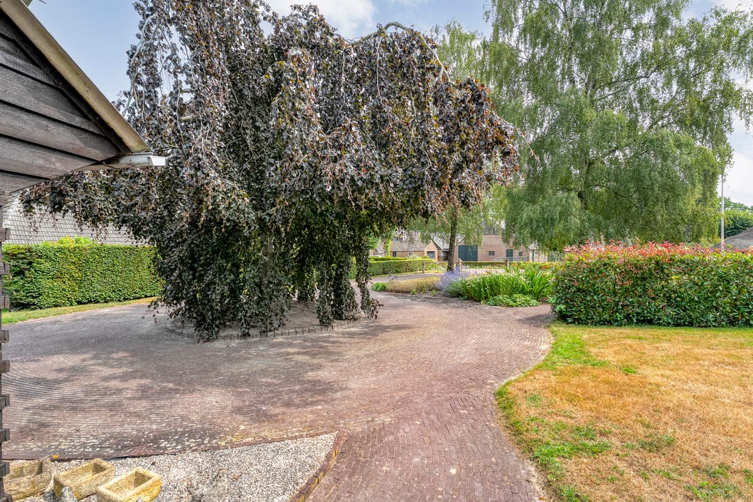 Photo 8 of De Hoek 9