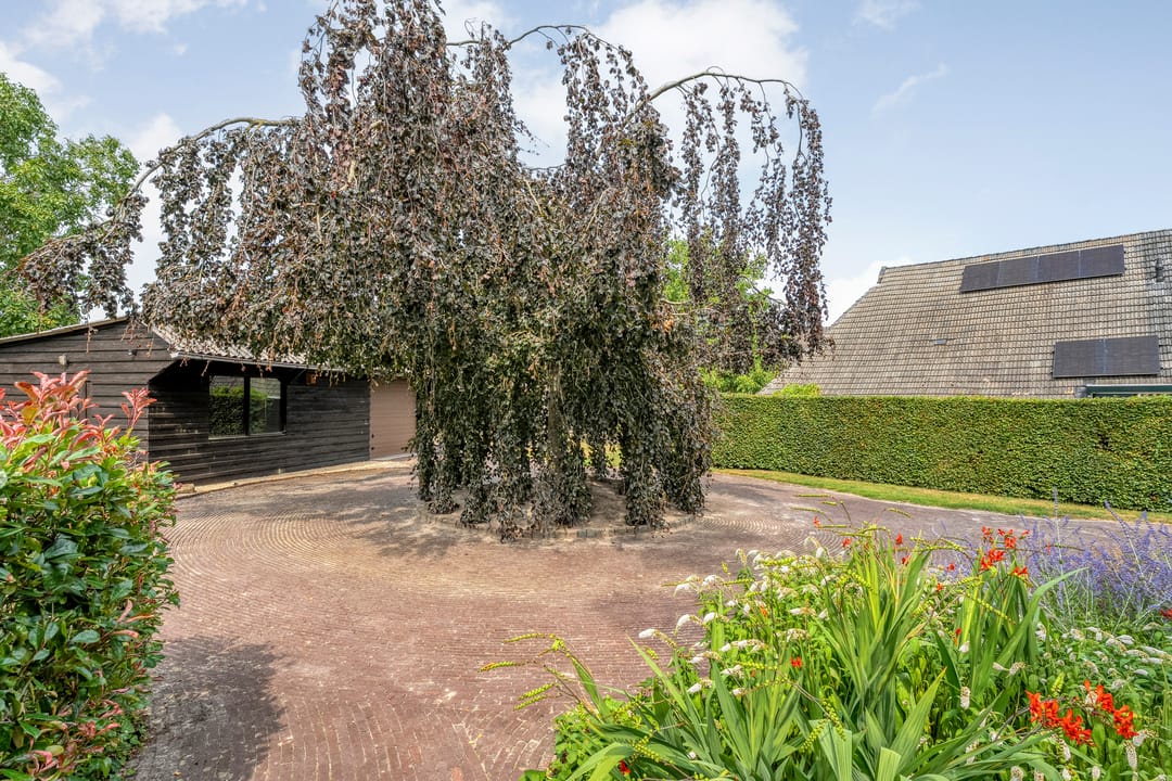 Photo 7 of De Hoek 9