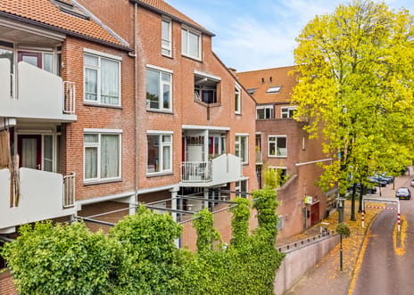 Grote Haag thumbnail