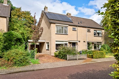 Esdoornstraat thumbnail
