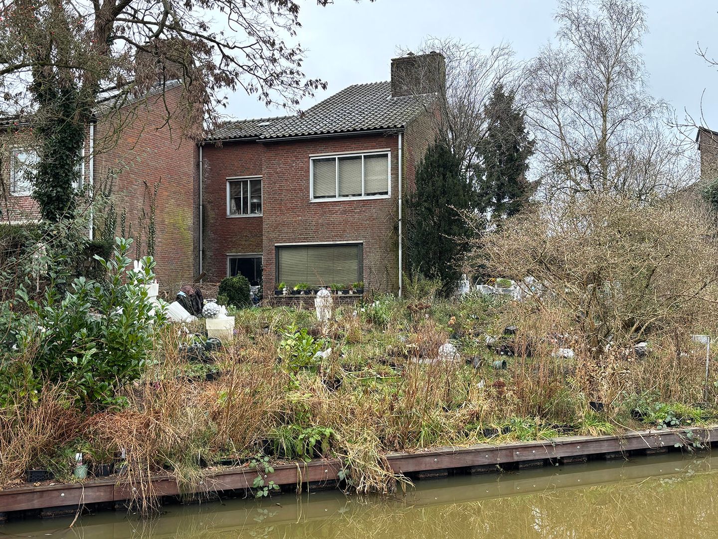 Foto 5 van Goudwespmeent 75