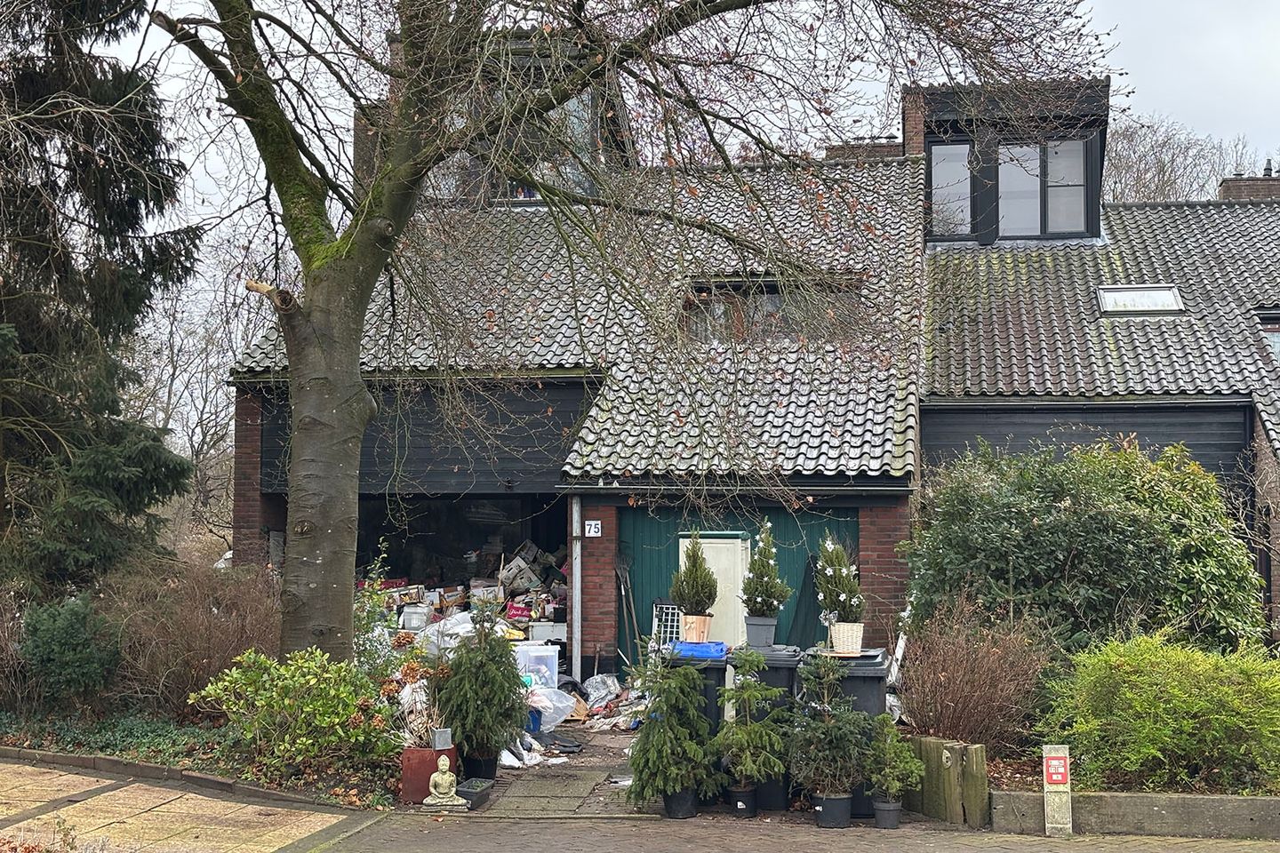 Foto 1 van Goudwespmeent 75