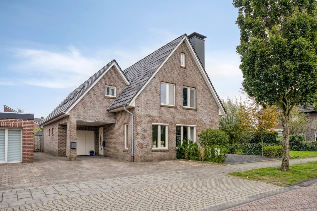 Foto 1 van Snavelbies 11