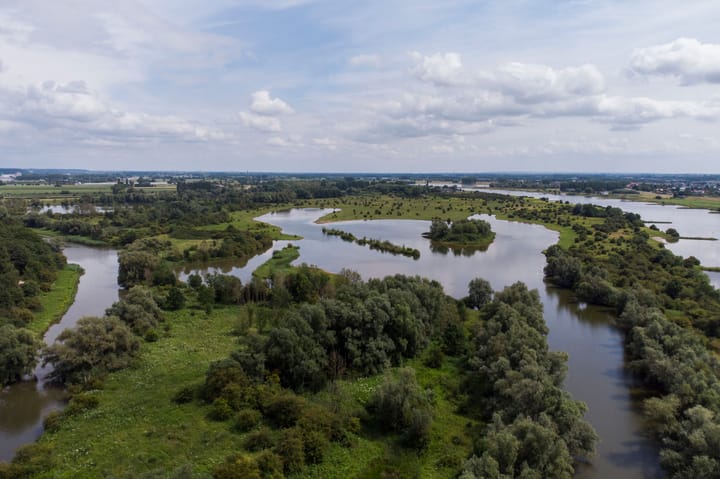 Vrijstaande woning te koop: Cuneralaan 75, Rhenen