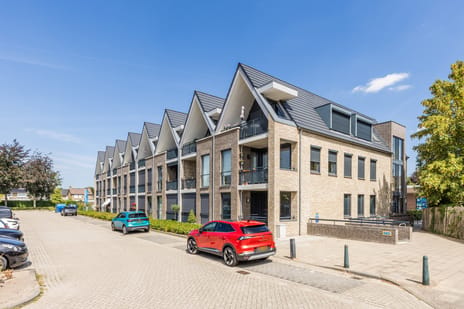 Achterstraat thumbnail
