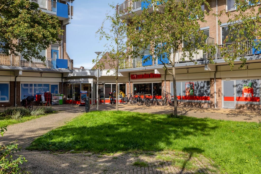 Foto 47 van Lijster 69