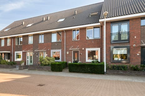 Sabelpootlaan thumbnail