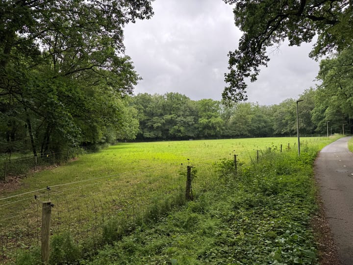 Otterloseweg, Hoenderloo (Gem. Apeldoorn)
