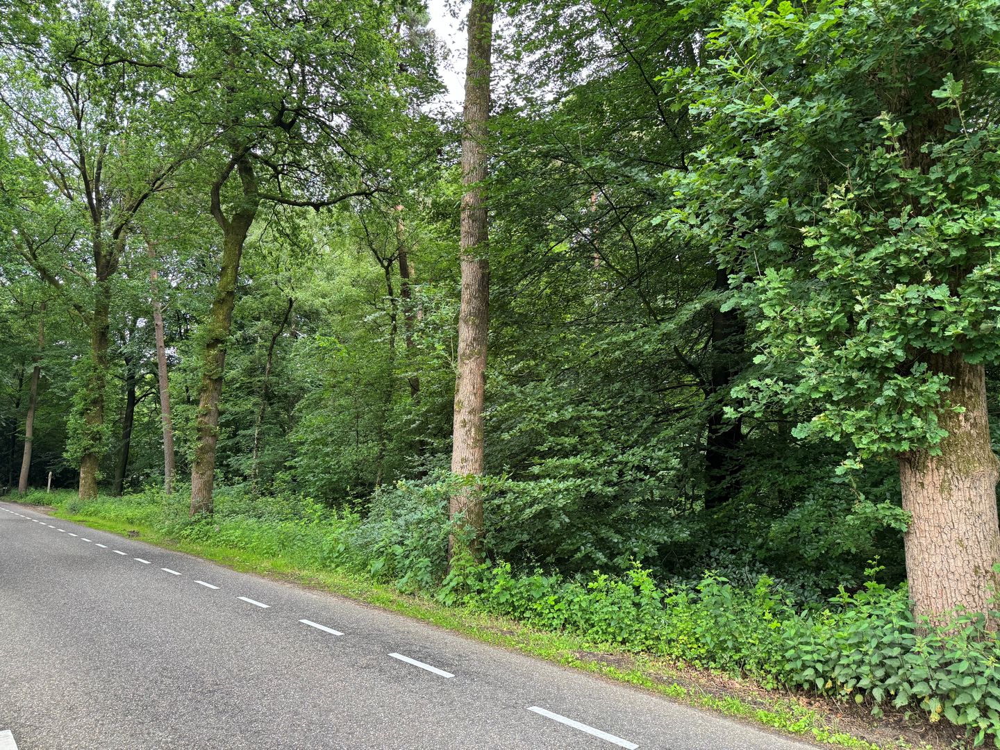 Bekijk foto 3 van Otterloseweg
