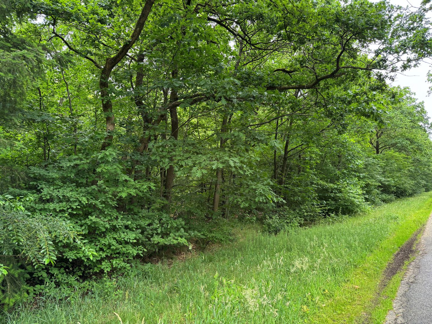 Bekijk foto 3 van Otterloseweg