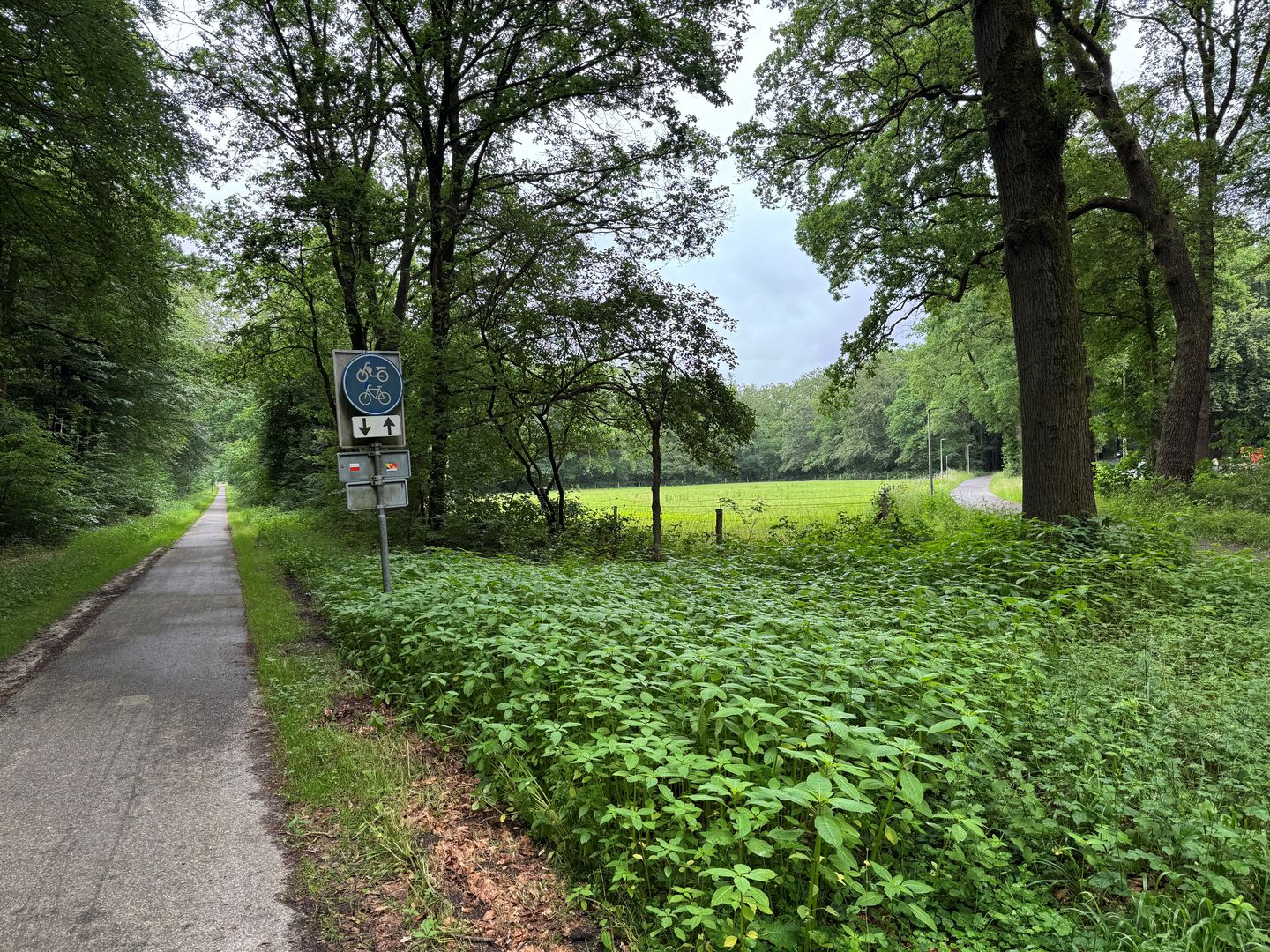 Bekijk foto 2 van Otterloseweg