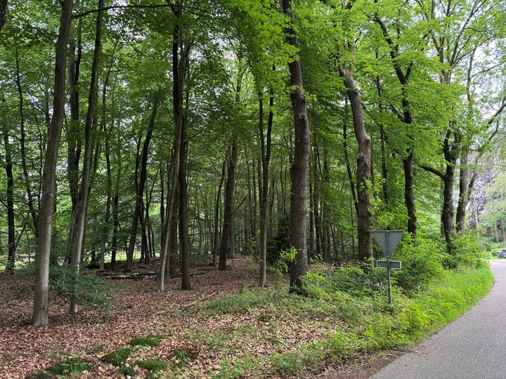 Otterloseweg, Hoenderloo (Gem. Apeldoorn)