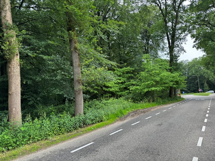 Otterloseweg