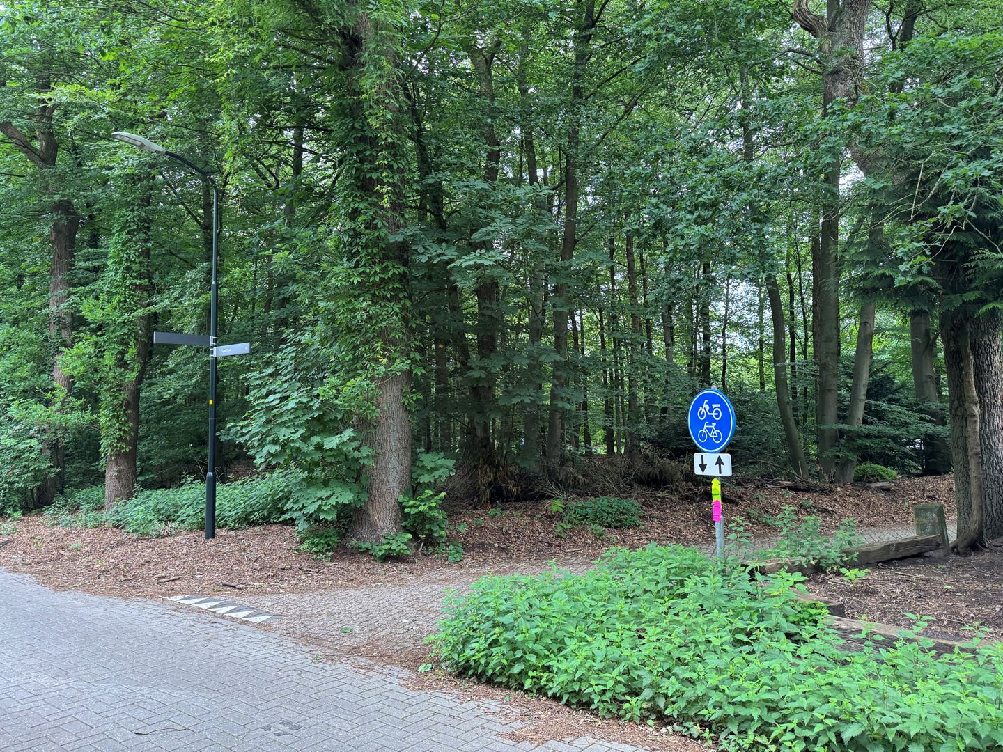 Bekijk foto 4 van Otterloseweg