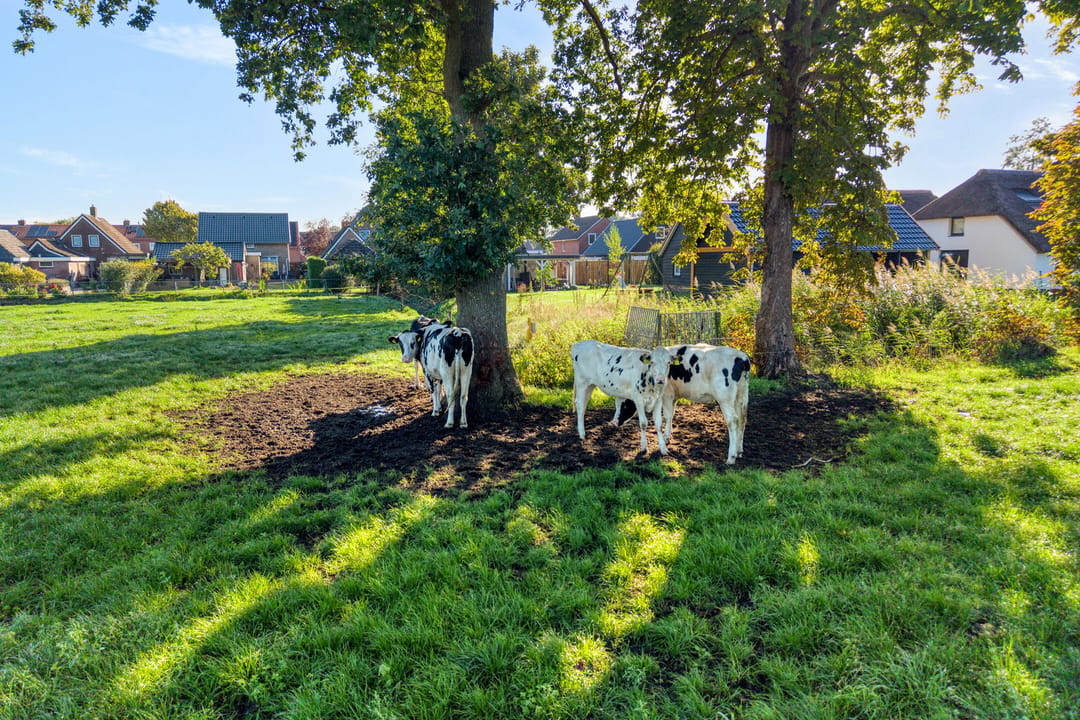 Photo 53 of Zwarte Dijk 28