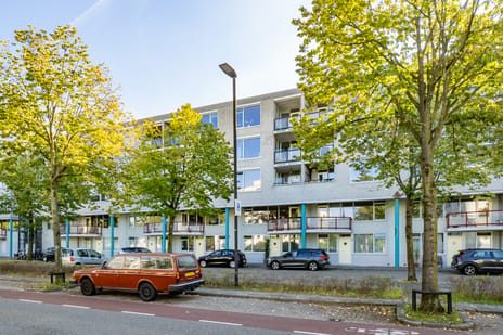 Aartsbisschop Romerostraat thumbnail