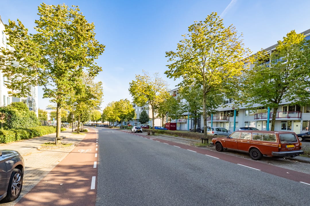 Foto 43 van Aartsbisschop Romerostraat 263