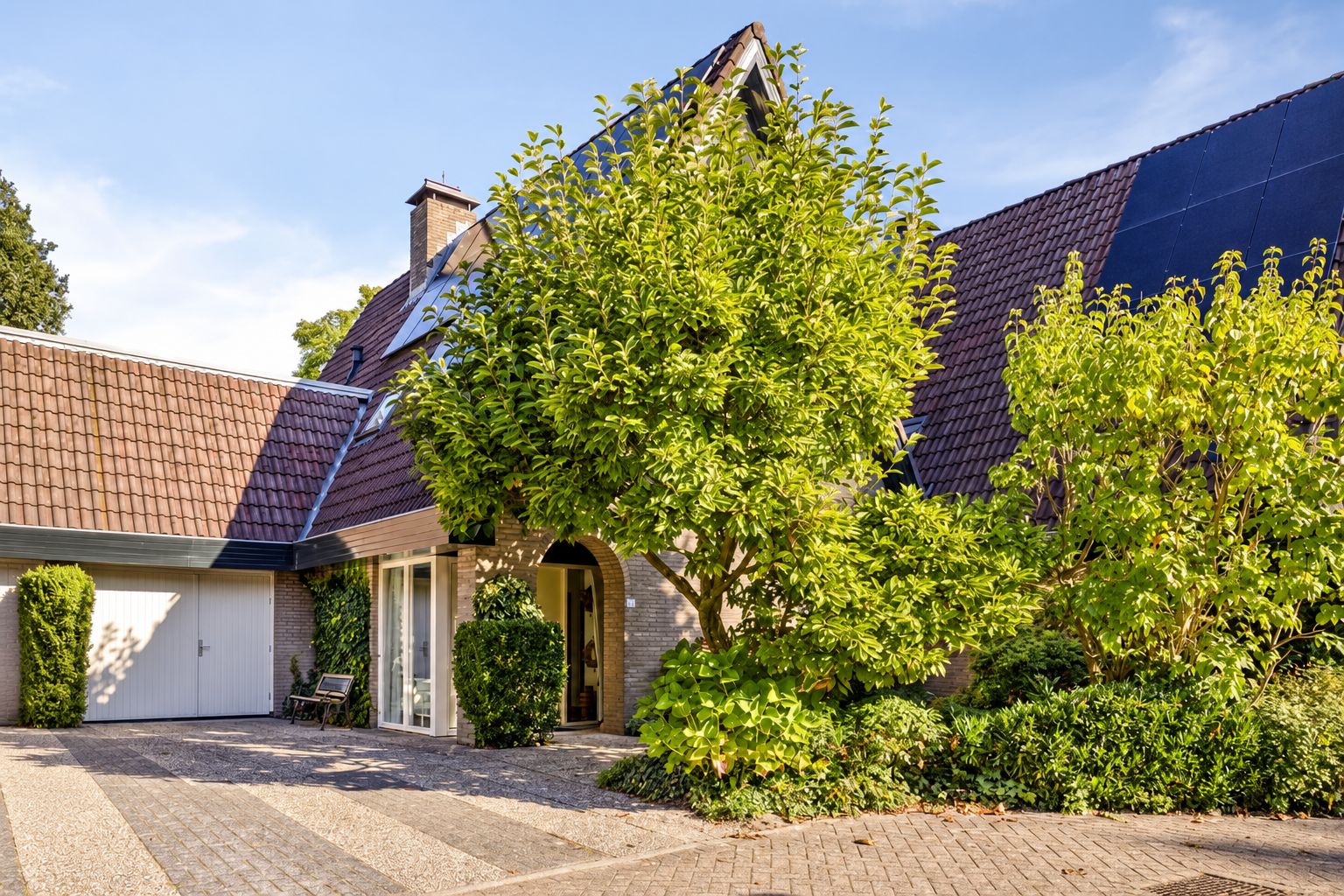 Andoorn 63 