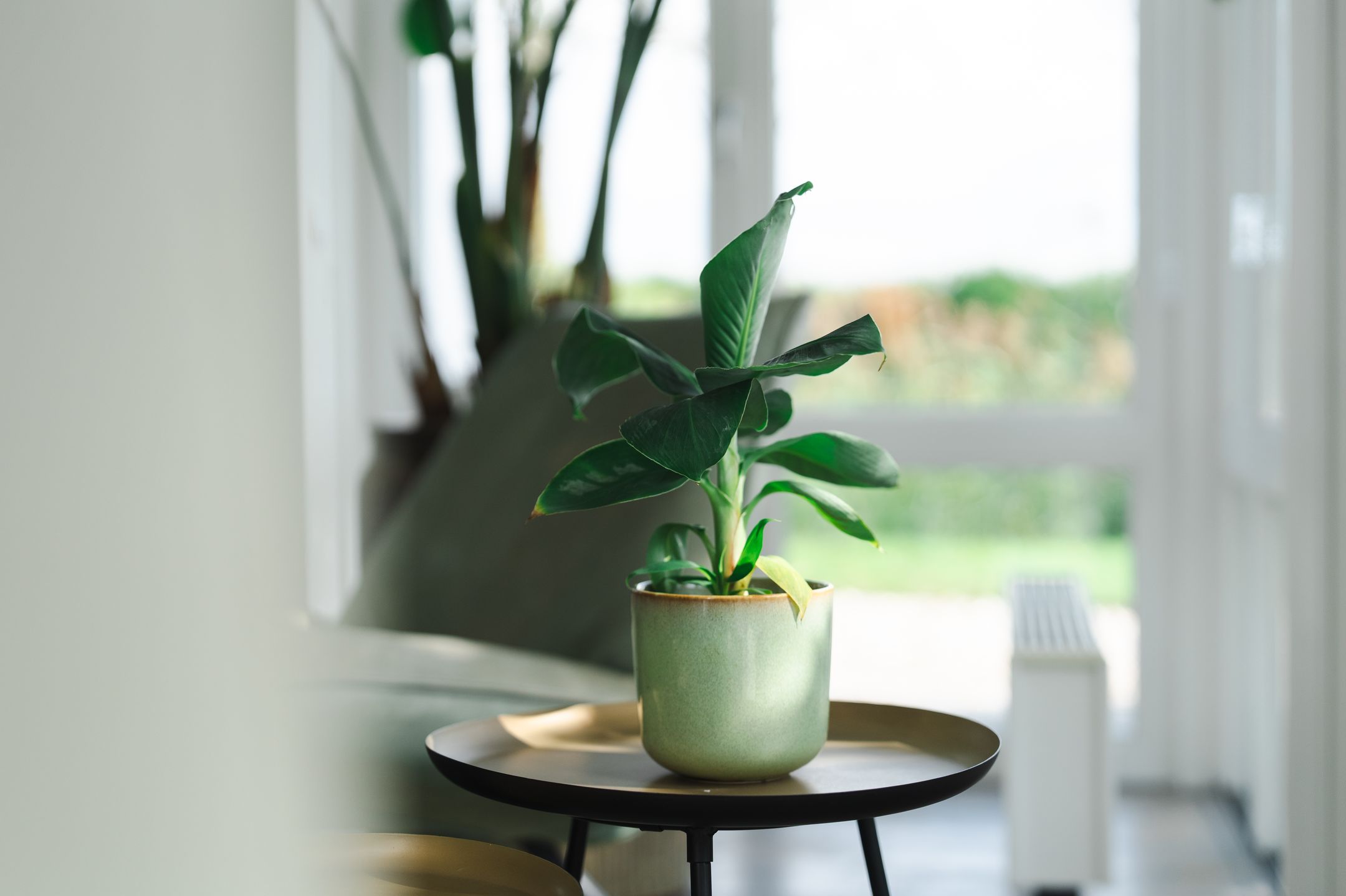 Foto 15 van Zoudtlandlaan 34