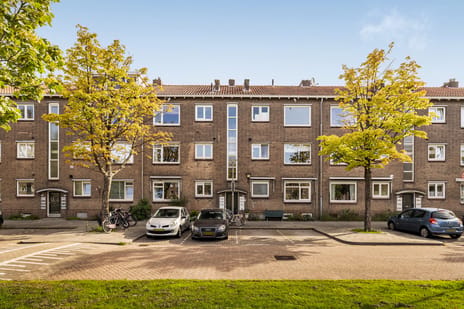 Lepelaarsingel thumbnail