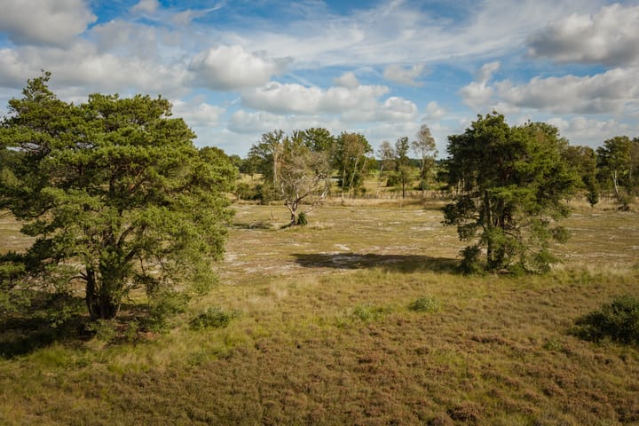 Appartement te koop: Speelmansweg 13, Heeten