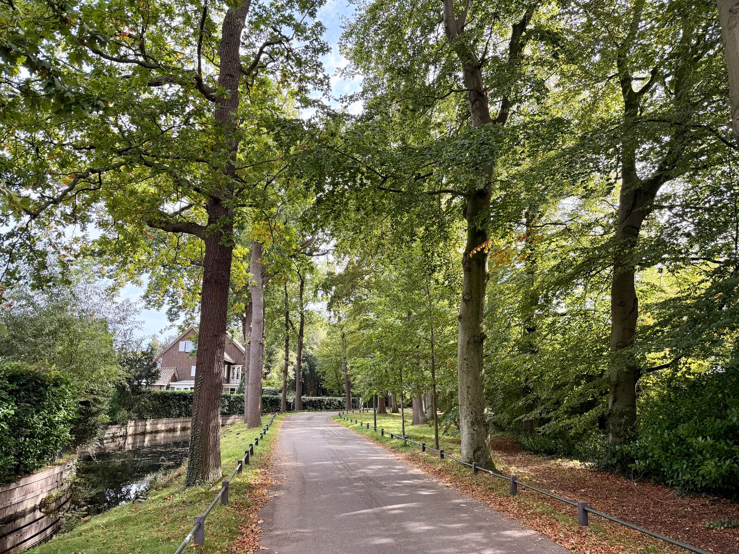 Foto 5 van Park Leeuwensteijn 42