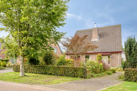 Eeuw Driessestraat thumbnail