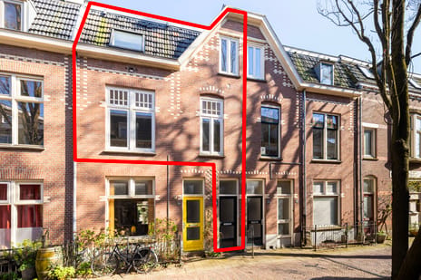 Jan de Wittstraat thumbnail
