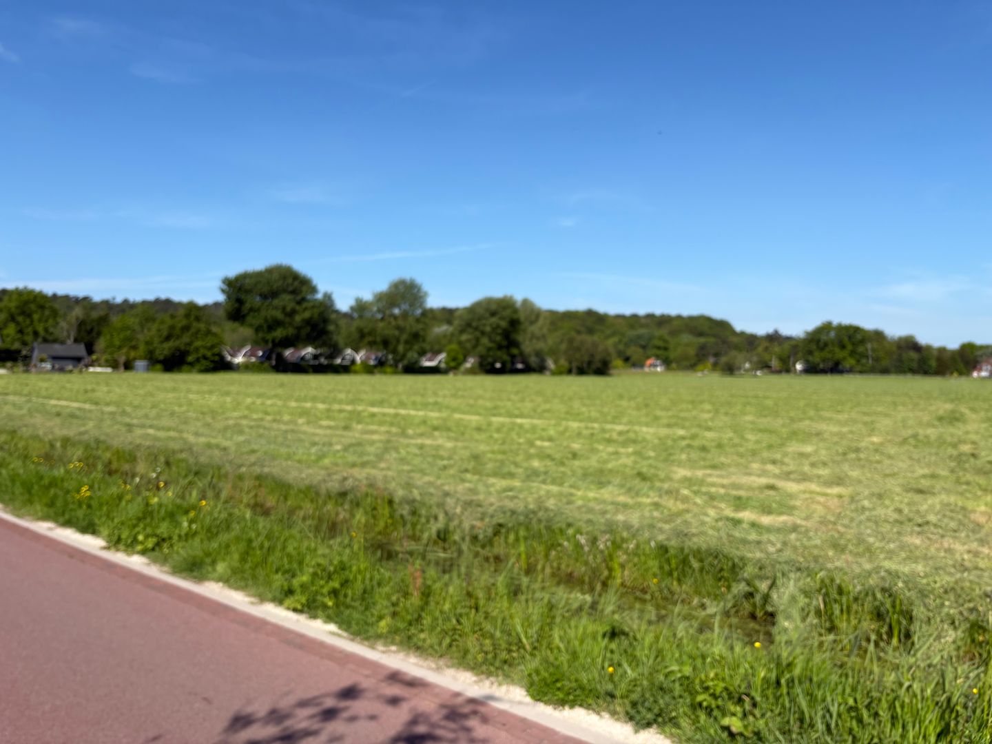 Bekijk foto 4 van Omloop 35
