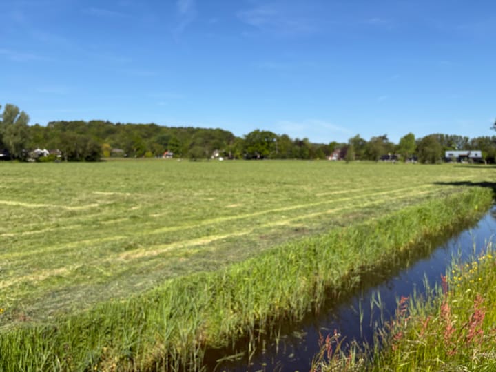 Omloop 35, Schoorl