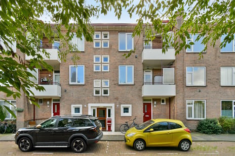 Esther de Boer-van Rijkstraat thumbnail