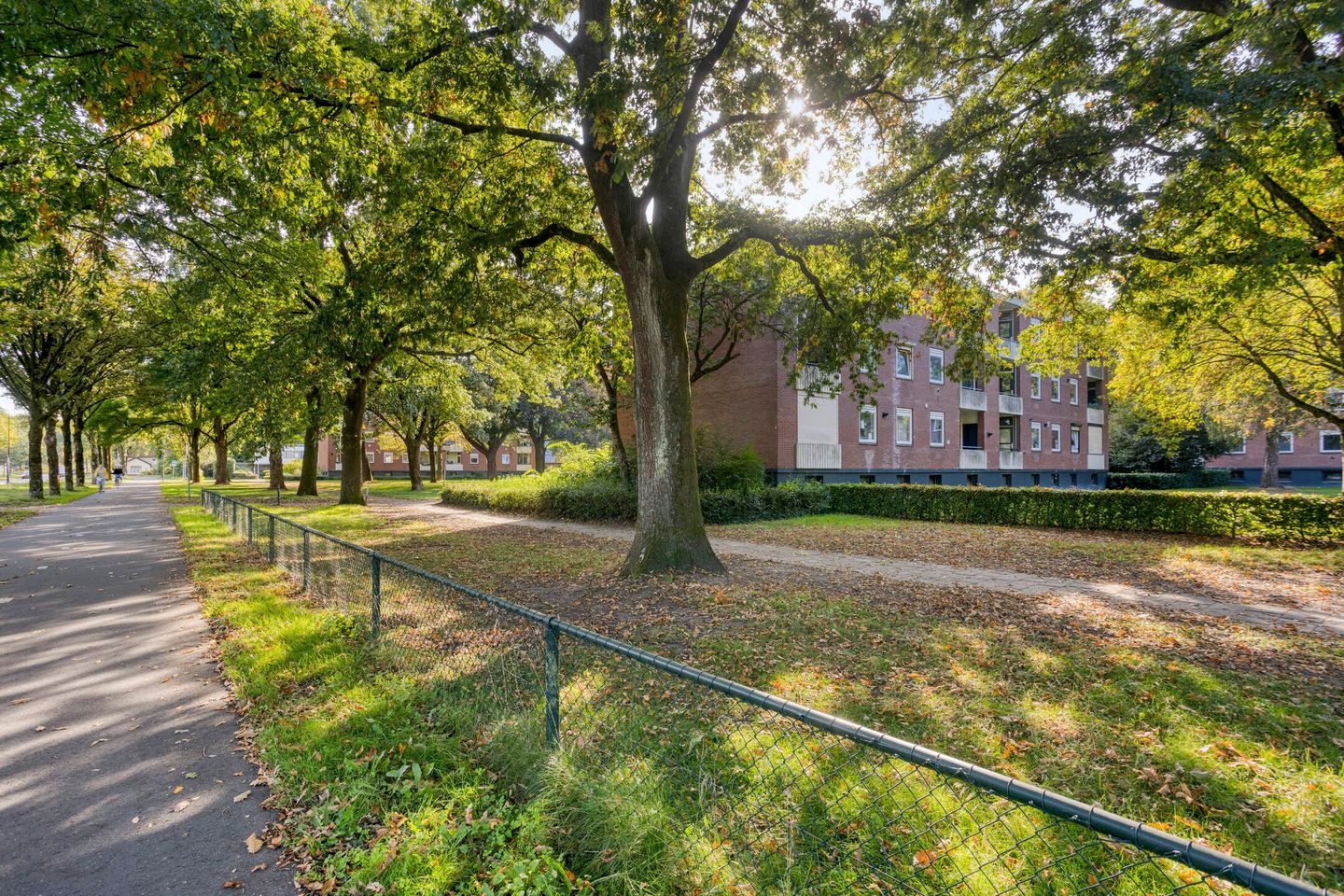 Photo 19 of Noord 11