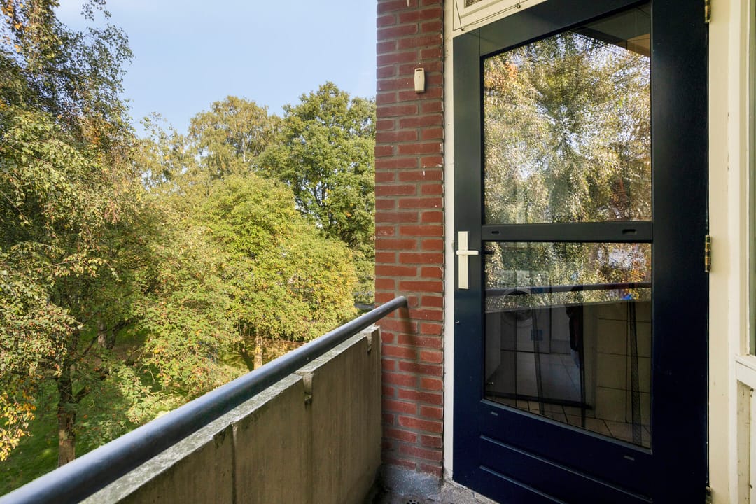 Photo 16 of Noord 11
