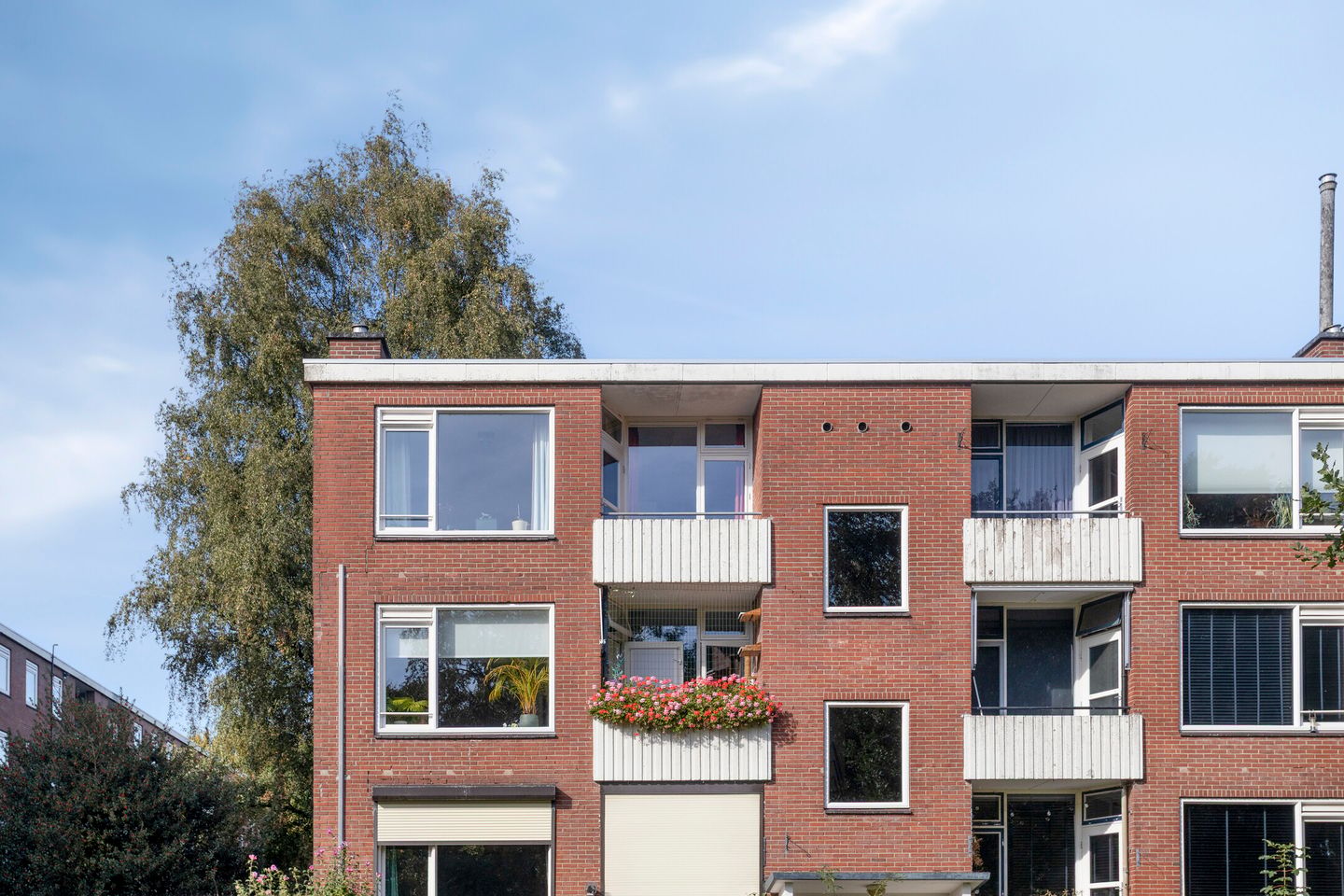Photo 4 of Noord 11