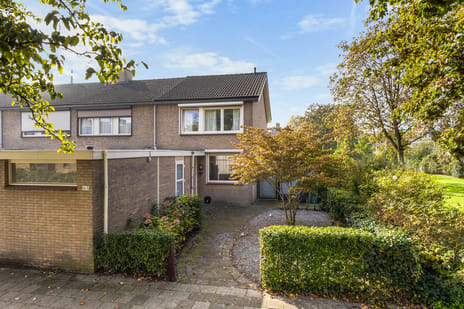 Susannadonk thumbnail