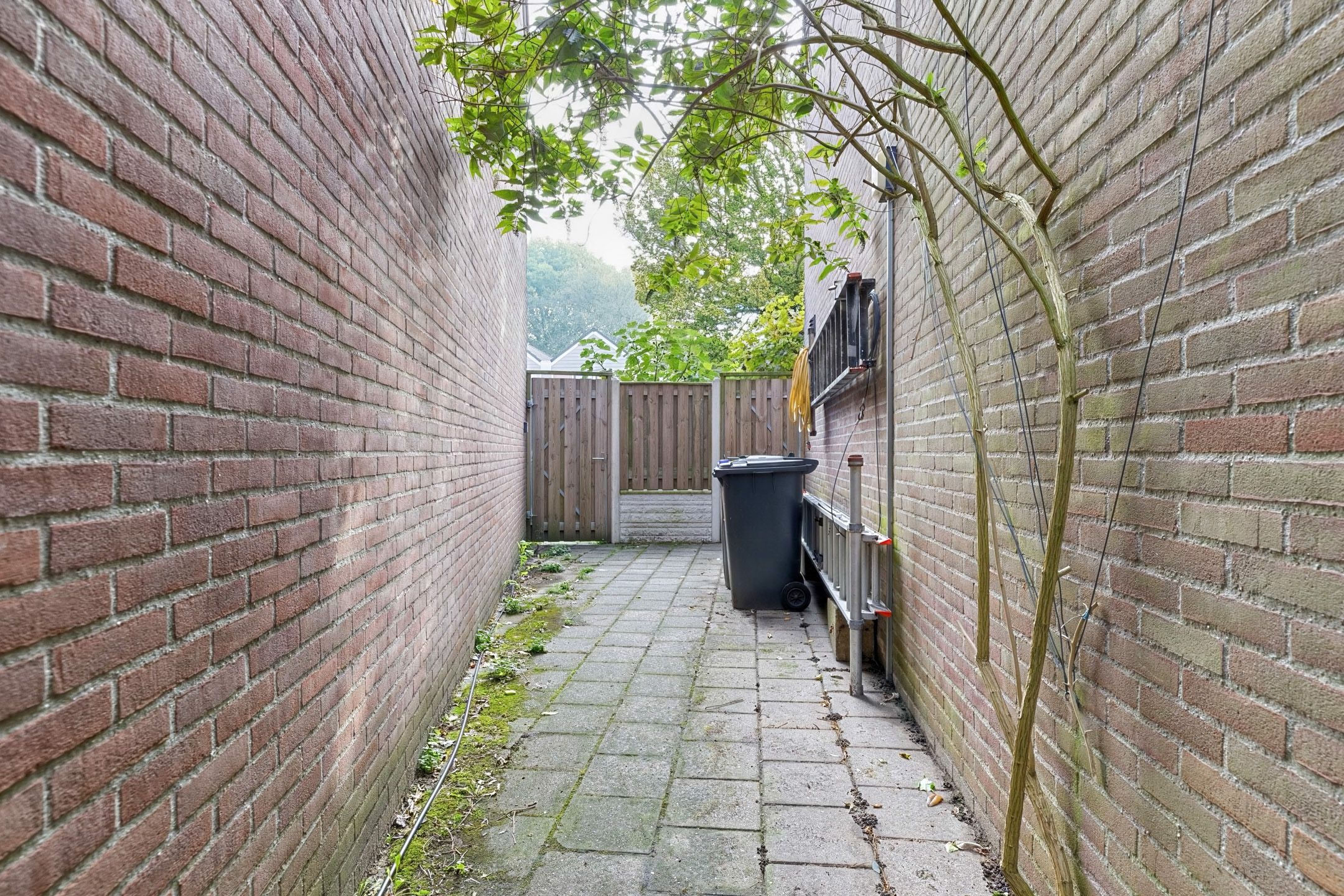 Photo 51 of P.L. Takstraat 20
