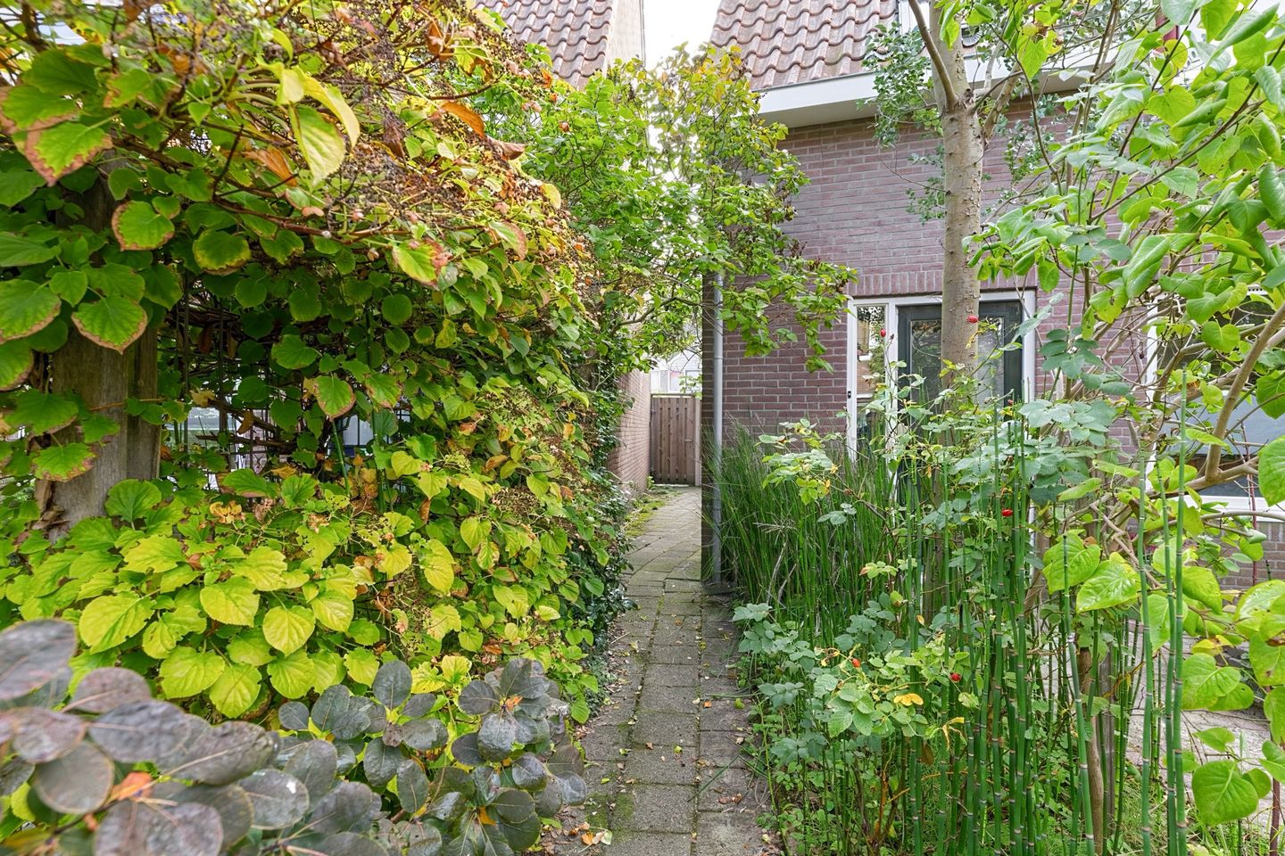 Photo 50 of P.L. Takstraat 20